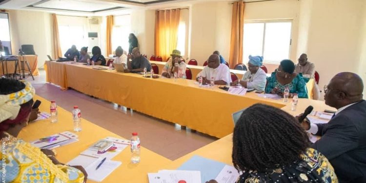 Prévention, prise en charge et contrôle du Vih/Sida au Bénin : La loi bientôt révisée