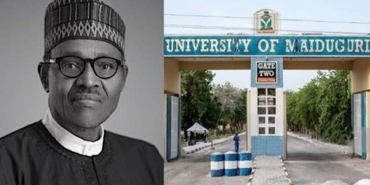 Nigeria : Levée de boucliers contre le changement de nom de l&rsquo;université de Maiduguri en l&rsquo;honneur de Buhari