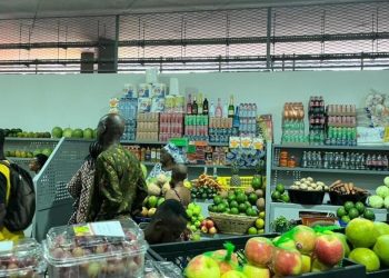 Croissance économique : Le commerce et les services en plein essor au Bénin