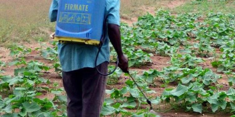 Bénin : Interdiction aux structures techniques publiques d’offrir des prestations phytosanitaires à titre onéreux