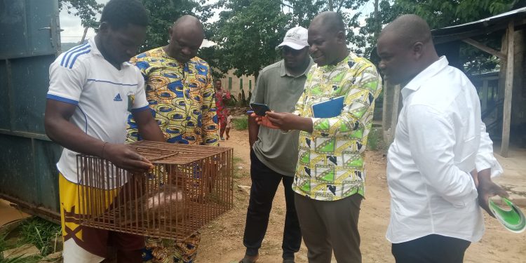 Innovation agricole au Bénin : La Dgrsi découvre la Ferme K-D.K et s’immerge dans un modèle d’excellence rurale