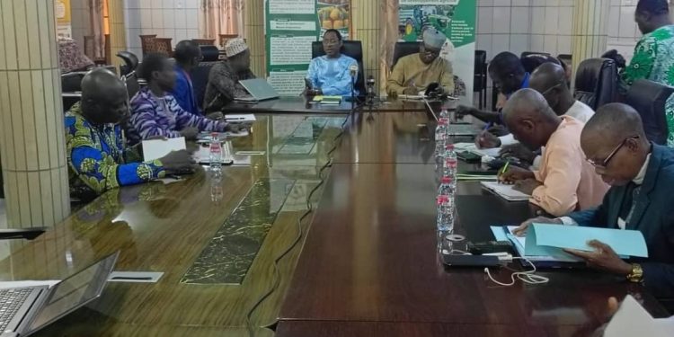Filière riz au Bénin : La réorganisation de l’interprofession enclenchée