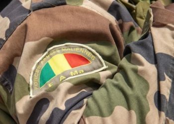 Mali : Un chef de l’État islamique au Sahel neutralisé par l’Armée dans le nord du pays