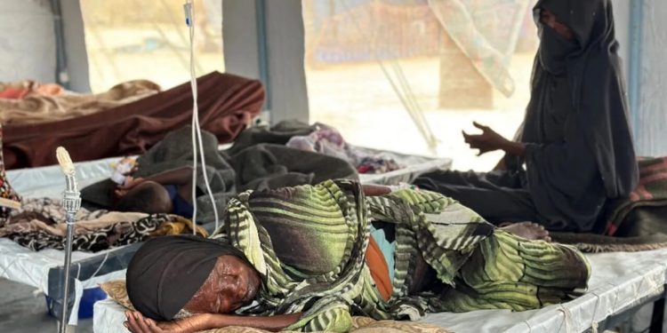 Épidémie de choléra au Soudan : Une quarantaine de décès enregistrés en moins d’une semaine