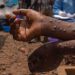 Sénégal : Premier cas confirmé du Mpox