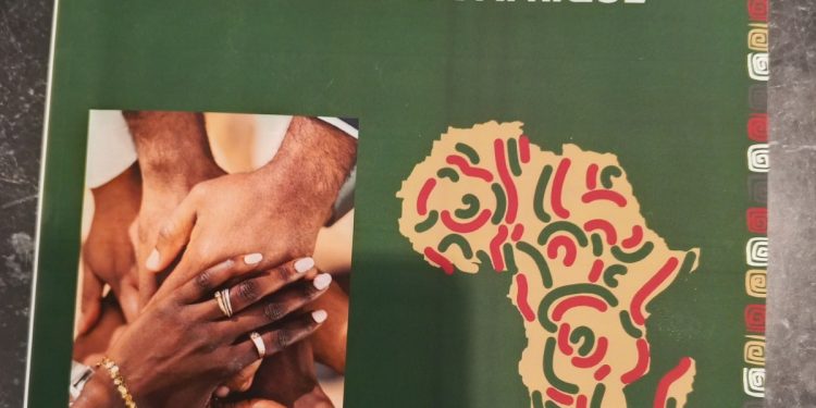 Lancement du premier rapport sur l’état du volontariat en Afrique : L’Anpe représente le Bénin