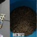 1er arrondissement de Cotonou : Une fabricante de boissons à base du chanvre indien arrêtée