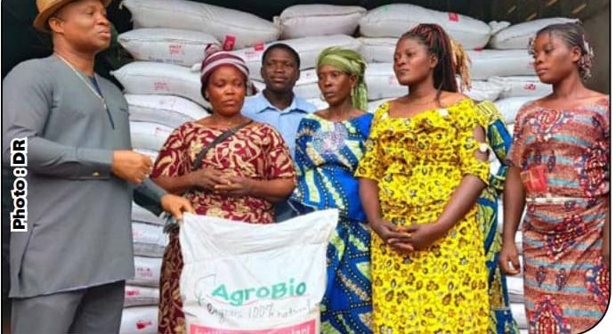 Maraîchage au Bénin : Le gouvernement mise sur les engrais organiques pour accroître les rendements