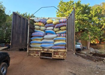 Burkina: Un laisser-passer institué pour le transport des amandes de karité à l’intérieur du pays