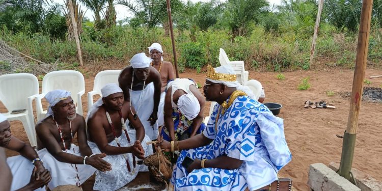 ‘’Tédùdù nù Fêboxosu’’ : Sunmadjèhouéyin et ses ministres offrent la nouvelle igname à l’égrégore du Bô