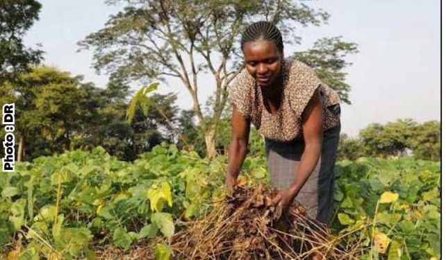 Lutte contre la dégradation des terres au Bénin : Nécessité d’un changement de paradigme
