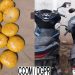 Pahou : trois personnes interpellées et plus de 17 kg de chanvre indien saisis à Adjarra Adovié