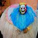 Tradition et modernité : La parade des masques Kaléta réinvente les fêtes