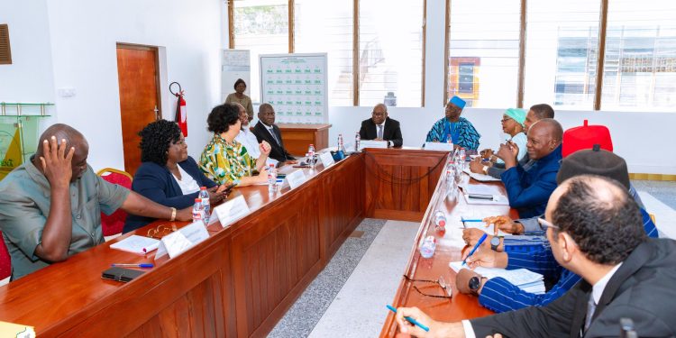 Audience à la Céna : le Conseil électoral reçoit des délégations du Riarc et de l’Union africaine