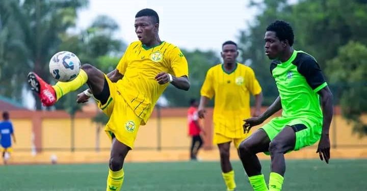 Fenêtre Fifa février – mars 2026 : Deux matchs tests au programme des Amazones à Abidjan