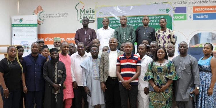 Appareils électroménagers au Bénin : L&rsquo;Anm sonne le début de la mise en conformité énergétique