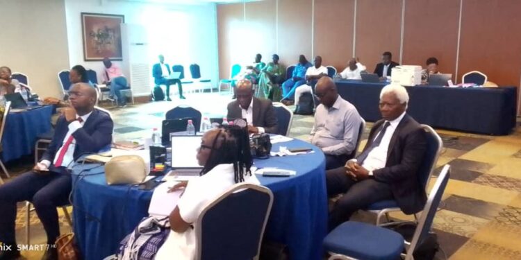 Médecine traditionnelle au Bénin : L’Ars s’engage sur le chantier de la réorganisation