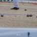 Pétanque : la Fédération béninoise met en place un comité ad hoc pour gérer la Ligue Zou-Collines