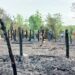 Incendie à Adja-Ouèrè : 13 habitations détruites à Massè, les sinistrés lancent un appel à la solidarité