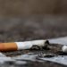 Journée mondiale sans tabac 2026 : Le Bénin hausse le ton contre les nouveaux poisons