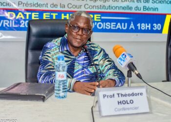 Théodore Holo analyse l’élection de Romuald Wadagni : Entre espoir générationnel et exigence de résultats