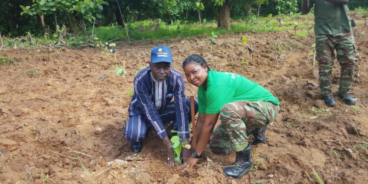 15ème édition de la journée de reboisement interforce à Natitingou : 3798 plants mis en terre sur 4 hectares