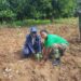 15ème édition de la journée de reboisement interforce à Natitingou : 3798 plants mis en terre sur 4 hectares