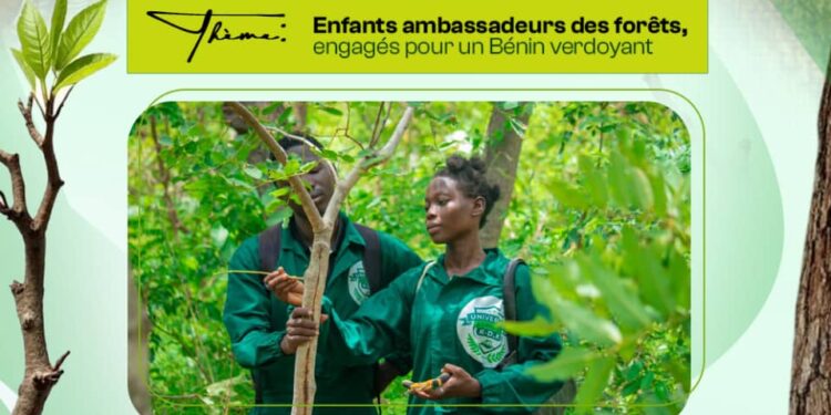 Journée de l’arbre 2026 : Le Groupe K-d.k veut révéler le potentiel économique des produits non ligneux