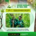Journée de l’arbre 2026 : Le Groupe K-d.k veut révéler le potentiel économique des produits non ligneux