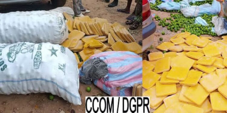 Parakou : 226 plaquettes de chanvre indien saisies dans des sacs d’oranges