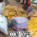 Parakou : 226 plaquettes de chanvre indien saisies dans des sacs d&rsquo;oranges