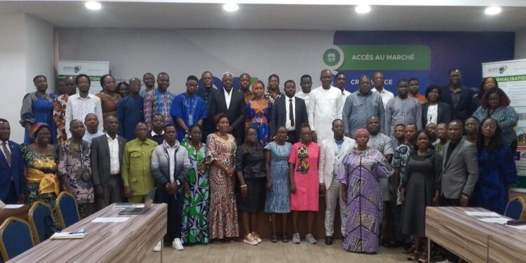 Projet d’électrification rurale au Bénin : Plus de 10 000 ménages déjà pris en compte