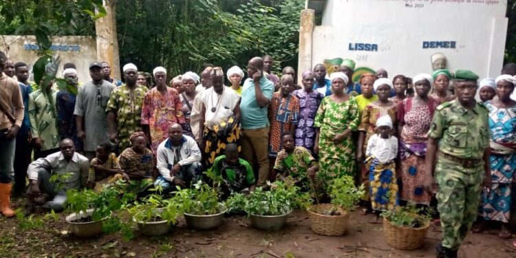 Restauration des terres et conservation de la biodiversité dans le Zou : « Logme II » vient au secours la forêt sacrée de Tanhounzoun