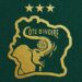 Côte d’Ivoire : Hervé Renard nommé à la tête des Éléphants