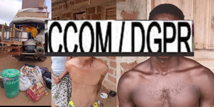 Togba : Quatre présumés braqueurs, dont une femme, interpellés par la Police