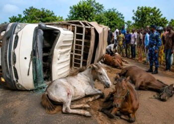 Accident à N’Dali : Un mort et plusieurs blessés après le renversement d’un véhicule