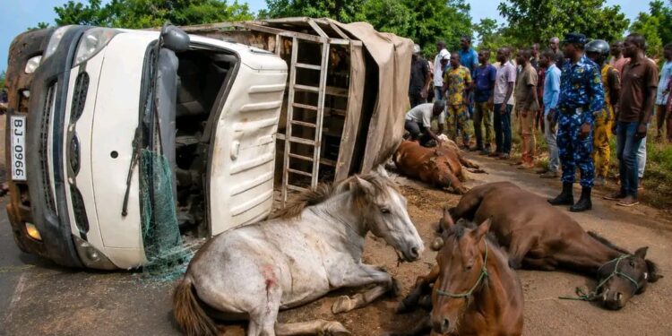 Accident à N’Dali : Un mort et plusieurs blessés après le renversement d’un véhicule