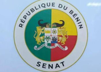 Bénin : Quelques personnalités et citoyens se prononcent sur l’élection de Talon à la tête du Sénat