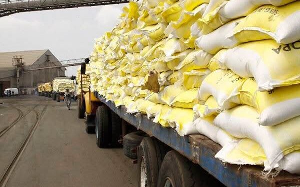 des sacs de riz