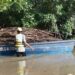 Mangroves au Bénin : Le pari de la restauration face à la pression climatique