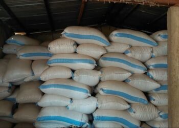Lutte contre la contrebande : 40 sacs de Soja saisis à Malanville