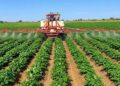 Prima-Bénin : 118 km de pistes rurales pour désenclaver les bassins agricoles