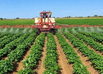 Prima-Bénin : 118 km de pistes rurales pour désenclaver les bassins agricoles