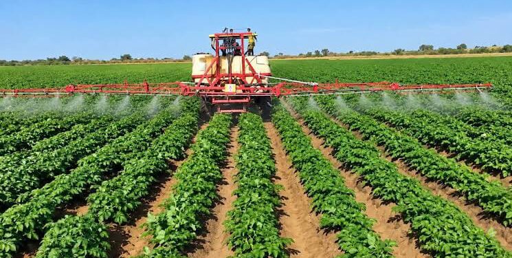Prima-Bénin : 118 km de pistes rurales pour désenclaver les bassins agricoles