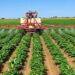 Prima-Bénin : 118 km de pistes rurales pour désenclaver les bassins agricoles