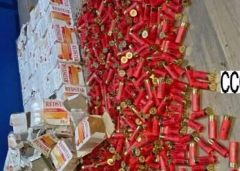 Trafic de munitions à Parakou : La Police découvre 1975 nouvelles cartouches enterrées