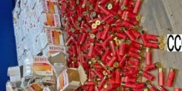 Trafic de munitions à Parakou : La Police découvre 1975 nouvelles cartouches enterrées