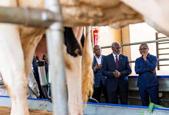 Rwanda : Romuald Wadagni découvre des pratiques agricoles durables