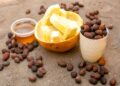 Commercialisation des amandes de karité : La campagne 2026-2027 officiellement ouverte
