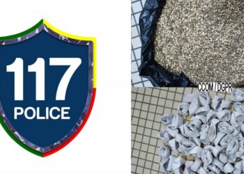 Vodjè gbadji : 2 personnes interpellées avec une importante quantité de chanvre indien
